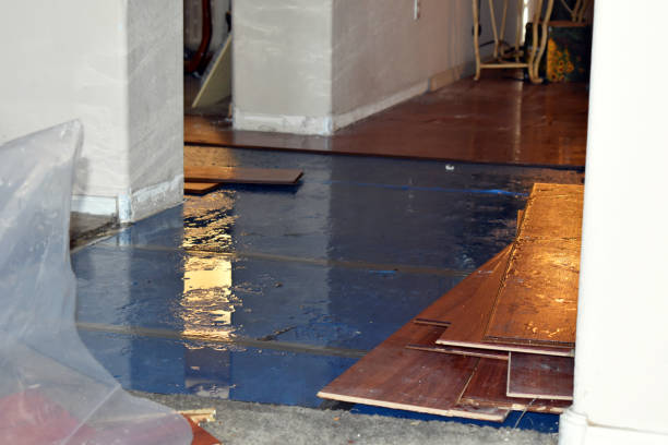 Professional Basement Flood Cleanup technician working in Pandora, OH